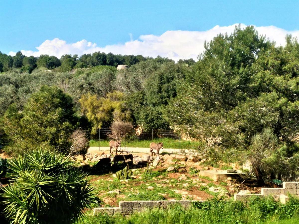 Le Colonie Daire Presicce Dış mekan fotoğraf